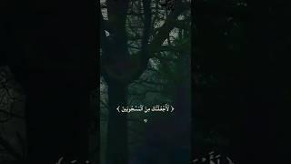 شاهد للنهاية...أترك أثرك#shorts