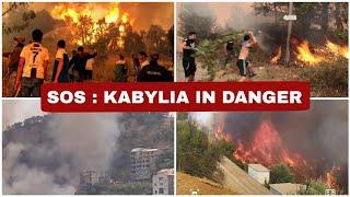 ALERT: KABYLIA IS BURNING IN TOTAL INDIFFERENCE