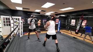 BEGINNER BOXING SPARRING!!