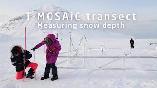 T-MOSAiC Transect - Snow Depth Measurements Video Tutorial