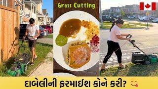 Dabeli ni Farmaish Kone Kari? ‍| Random Grass Cutting Day | Riddhi Darshan Vlogs