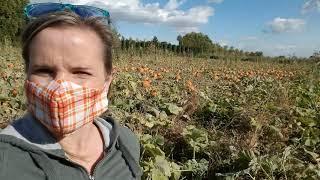 Tri-Cities, WA Community Spotlight: Job's Nursery