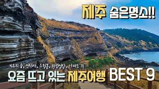 제주의 숨겨진 명소 9곳을 알려드립니다. 한국에서 가장 아름다운 숲부터  제주사찰 지질트레일  제주도민 피서지 청보리밭 등 요즘 뜨는 제주여행지 베스트 9