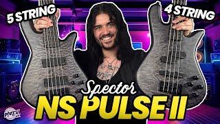 Spector's Stunning NS Pulse II Basses Are TOP TIER Modern Instruments!