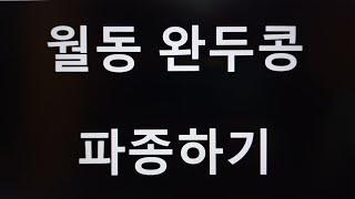 [텃밭농부. 414] 월동 완두콩 파종하기. 월동완두콩재배.완두콩.10월파종