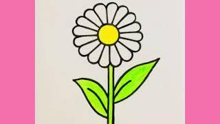 How to draw Daisy flower|Easy Daisy flower drawing #Art #Drawing