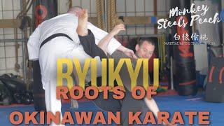Uncovering Kojo Ryu & KishimotoDi: Ryukyu - Roots of Okinawan Karate part 3