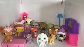 LPS Princess.Toy.Nerd Behind the Scenes: Jaclyn Returns