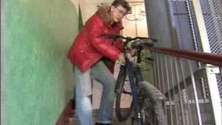 Лужок о велодорожках