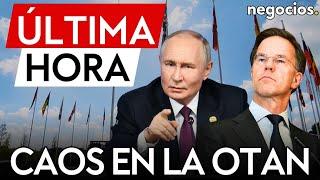 ÚLTIMA HORA | Caos en la OTAN: varios países de Occidente consideran cambiar su postura hacia Rusia