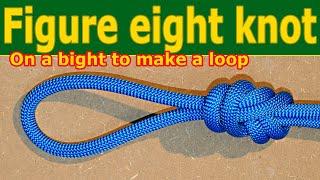 Figure eight knot  step by step, tie a mid-line loop!