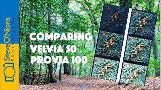 Film Photography - Comparing Velvia 50 and Provia 100 in the Forest