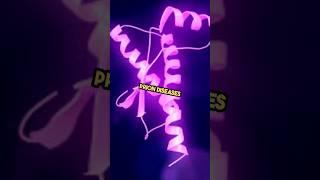 what the sign of prion? #prions #genetics