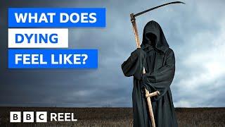 How does it feel to die? – BBC REEL