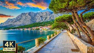 Brela Croatia  4K Makarska Riviera Walking Tour Beaches and Promenade 2023