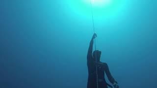 Bali Free Diving 2014 - Free Immersion