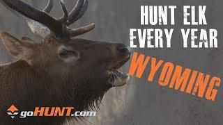 Hunt Elk Every Year: Wyoming and the goHUNT INSIDER