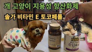  솔가 비타민E 개 고양이에 좋은 지용성 항산화제 토코페롤