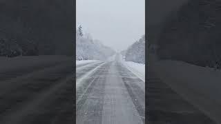 Зимняя дорога в Волхов #андрейартемов #волхов #дорога #зимняядорога