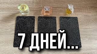 Выбери из 3 карт  БЛИЖАЙШИЕ 7 ДНЕЙ  ЧТО ЖДЁТ ТЕБЯ⁉️ #гадание