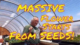 Starting HUNDEDS Of Seeds In The Off Grid Greenhouse