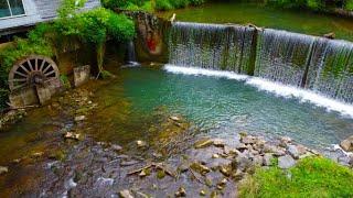 Fishing a 100 year Old Mill  (infested with rainbows)