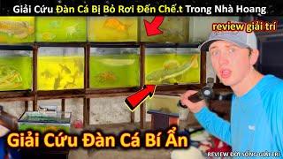 Phát Hiện Và Giải Cứu Đàn Cá Bị Bỏ Rơi Đến Ch.ết Trong Căn Nhà Bỏ Hoang || Review Giải Trí Đời Sống