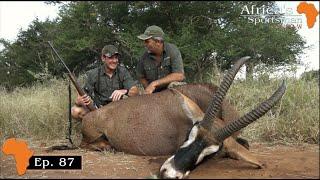 A buffalo and roan in one day at Schoongezight, Africa's Sportsman Show Ep 87