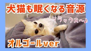 【睡眠・癒し・作業用BGM】眠くなるオルゴール音源【眠れない人、犬猫、ペット向け】【リラックス音楽】【犬が寝る動画】【落ち着くミュージック】【犬を静かにさせる音】