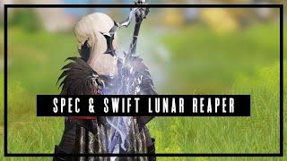 Keeping Up Damage on My Lunar Reaper
