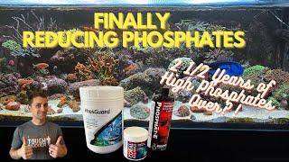 Reducing High Phosphates in My 200 Gallon Reef Tank- 2 1/2 Years of Lessons to Get to This Point