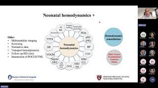 When to Consider Procedural Closure of the Patent Ductus Arteriosus in Premature Infants   Pediatric