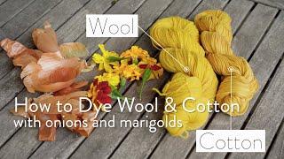 How to Dye Wool and Cotton using Marigolds and Onions