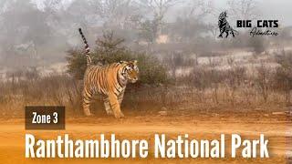 Zone 3 : Ranthambore national park | Big Cats Adventures