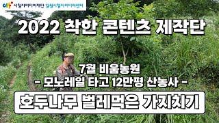 [제작단] 2022 착한콘텐츠 제작단_비움농원 (모노레일 타고 12만평 산농사 ' 호두나무 벌레먹은 가지치기')