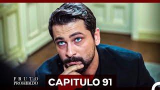 Fruto Prohibido Capitulo 91 (Doblado en Español)