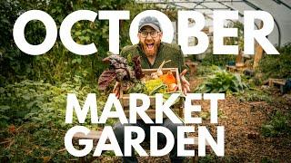 Permaculture Market Garden Through the Year | October | Agroecological farming | Glasbren CSA UK