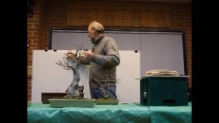 Japanese Maple Bonsai demonstration Bonsai Northwest Melbourne July 2017 Michael Simonetto