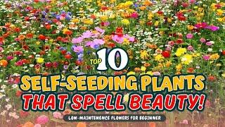 TOP 10 SELF-SEEDING PLANTS THAT SPELL BEAUTY!  // Gardening Ideas