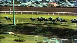 1987 Breeders' Cup Turf