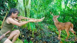 Lie Still! Wait and Shoot the Deer.../ Hunting Deer in the Rain Forest, Part 7