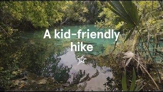 A kid-friendly hike