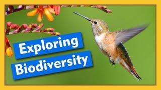 Exploring Biodiversity | Compilation