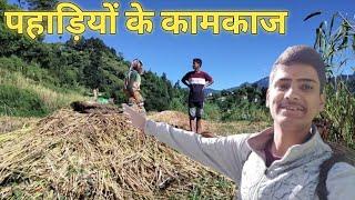 गाँव में हमारी दिनचर्या || Shriyanshu Kimothi|| Pahadi Lifestyle Vlog || Bhikona village