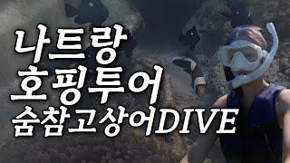 [나트랑Vlog.2] 스노클링 물고기 맛집 레이비치 ep.상어굴 다이빙한 강심장.. (나트랑 여행 가이드/럭셔리호핑투어/선상파티)