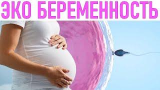 ЭКО БЕРЕМЕННОСТЬ | Беременность с ЭКО и без