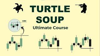 Turtle Soup Trading Strategy Explained | Everything You Need To Know