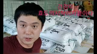 바보도사는 왜 5년전에 소금1톤을 사놓았을까..?