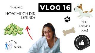 How Much Did I Spend in Thailand & Back To Normal Life! #vlog #weekinmylife #dogwalk