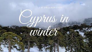 Cyprus, 2020 | Кипр зимой